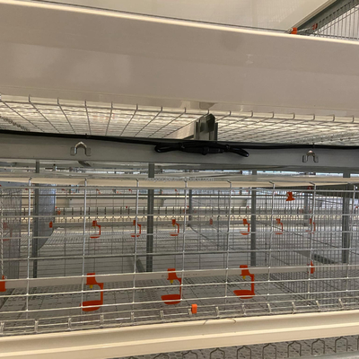 High Quality H Type Broiler Chicken Cage for Poultry Farming