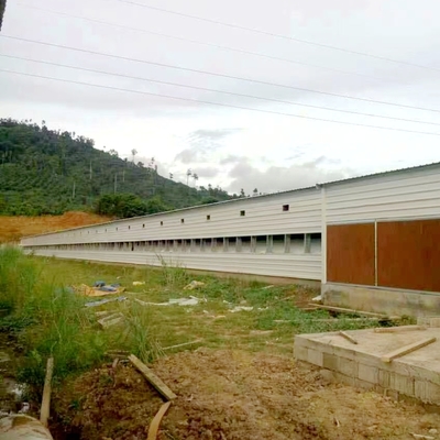 Best Price Broiler Chicken Floor System for Large Poultry Farms