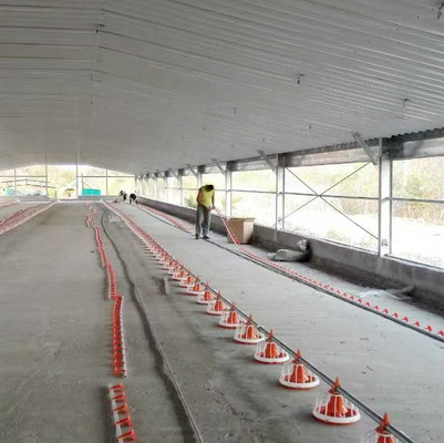 Automatic Broiler Chicken Floor System for Poultry Business