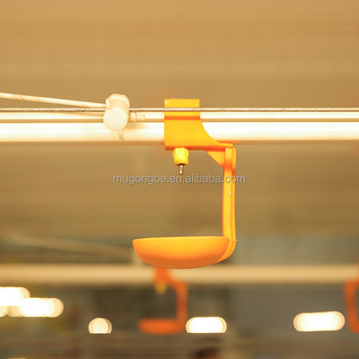 Broiler Farming Equipment Poultry Feeding Line System Chicken Cage With Automatic Feeders and Drinkers