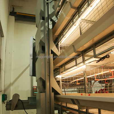 Factory Complete Automatic Broiler and Layer 3 Tiers 4 Tiers 5 Tiers H Type Battery Poultry Chicken Cage