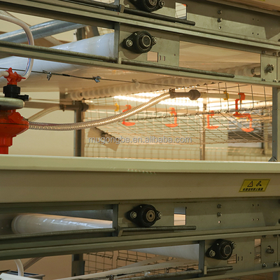 Factory Chicken Cage Battery System for Broiler Poultry Farming