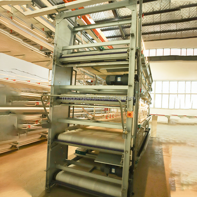 High Quality Poultry Farming Equipment Automatic H Type Pullet Baby Chicks Cages