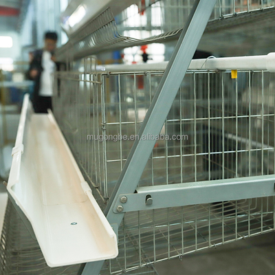 Layer Chicken Cage Battery Cages Laying Hens a Type Poultry Farm