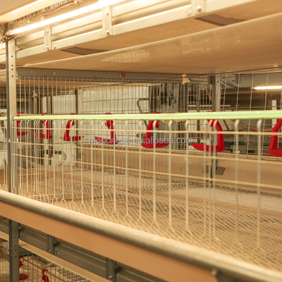 H Type Battery Layer Duck Rearing Cage Breeding Duck Cages for Ducks Farm